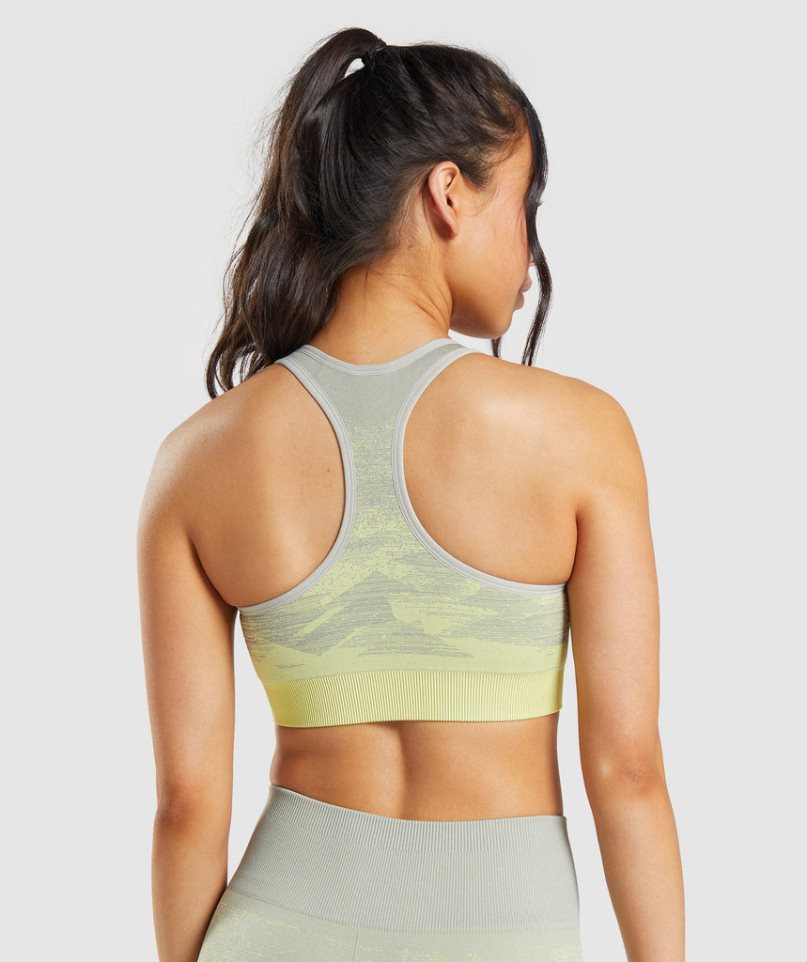 Women's Gymshark Adapt Ombre Seamless Sports Bra Grey | NZ 5NMOFZ